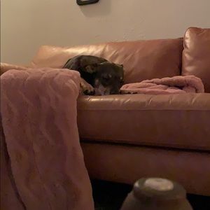 Meet your Posher, Kali